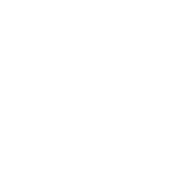 Globe icon with network lines on black.